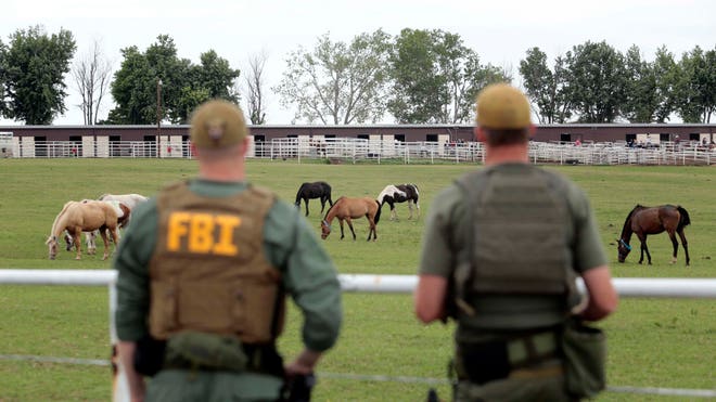 zetas caballos.jpg